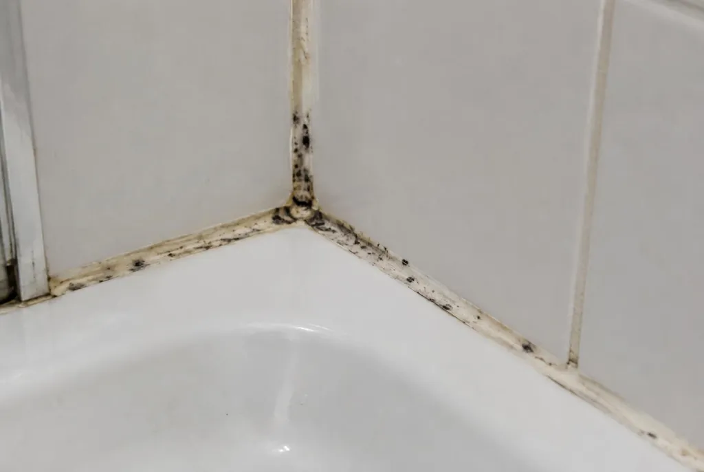 Kitbedrijf Woerden – beschimmelde kitranden
